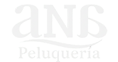 logo peluqueriaana con letras 2